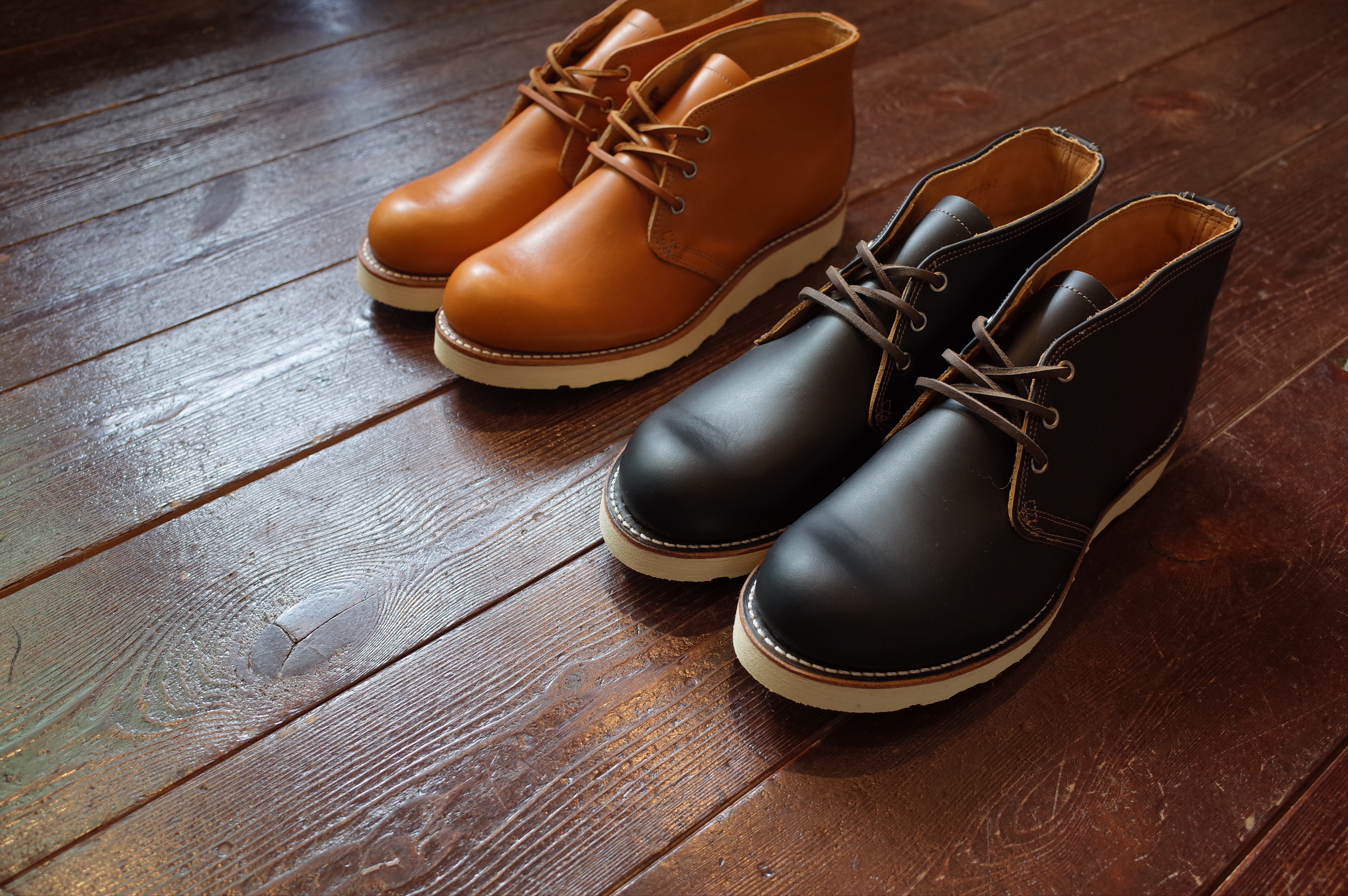 Irish shop setter chukka